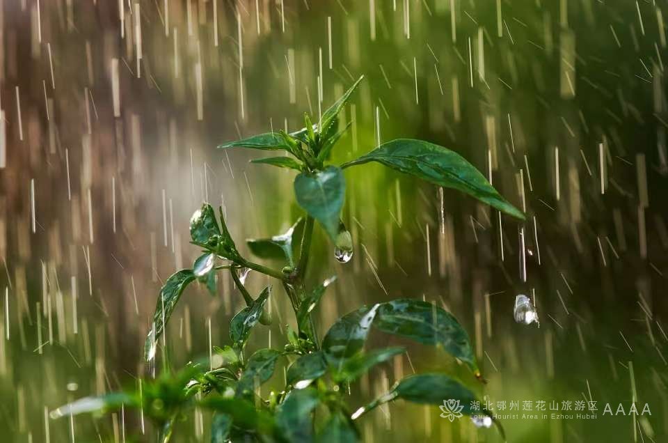 天气日报