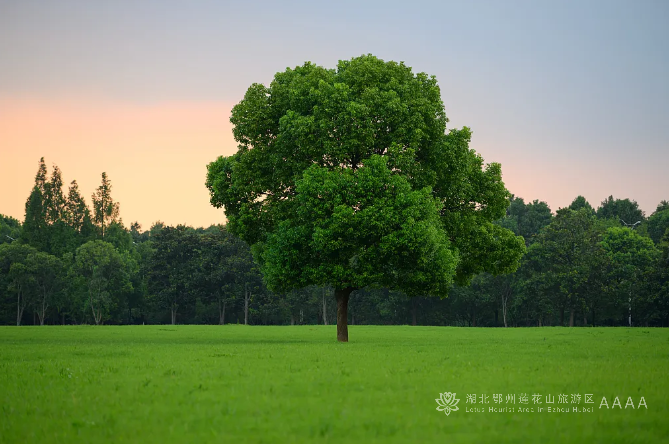 一个成长型的人，一开始不会很惊艳